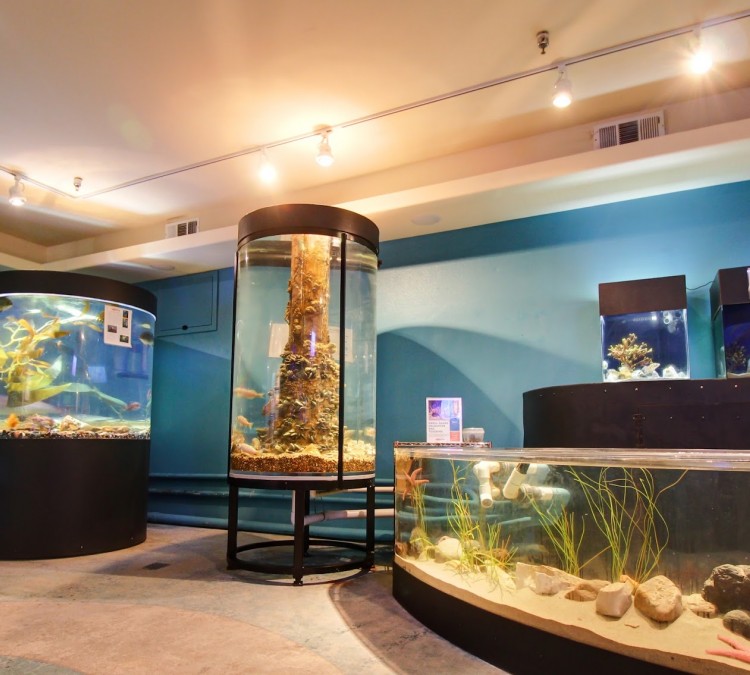 Central Coast Aquarium (Avila&nbspBeach,&nbspCA)